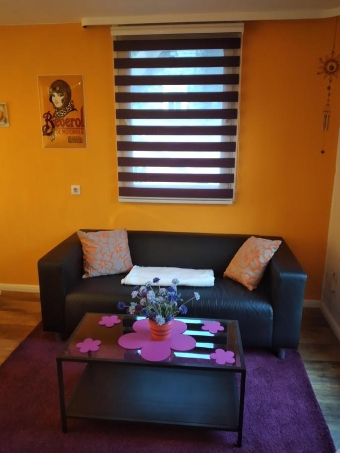 Ferienwohnung "Kunterbunt" Mit Burgblick Und Dachterrasse Моншау Екстериор снимка